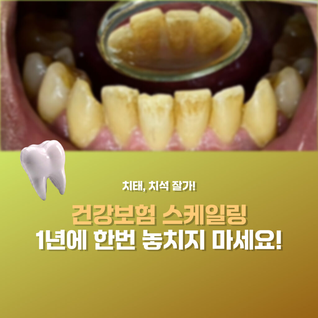 산본역치과